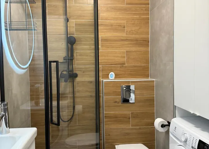 Rent 3 Apartment Płock